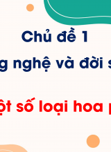Chủ đề 1 - Bài 2 Một số loại hoa phổ biến
